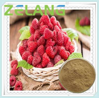 覆盆子提取物壓片代加工_其他產品__食品伙伴網