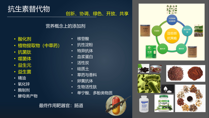 腸&middot;道 | 馬曦:23分鐘詳解替代抗生素促進腸道健康的三大武器