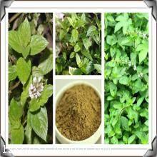 貓薄荷提取物與速溶粉全解析 沃特萊斯生物的價格與植物提取物概述