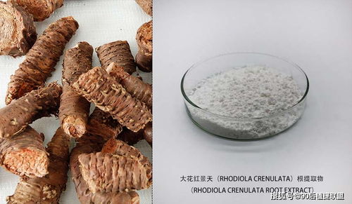 2020年化妝品原料熱點點評 植物提取物的新浪潮與前沿應(yīng)用