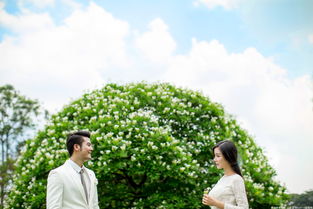 挪威森林?jǐn)z影服務(wù) 捕捉自然與情感的完美交融